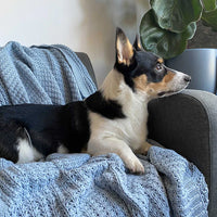 Chunky Knit Organic Throw